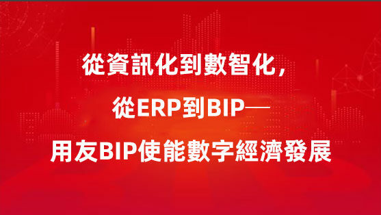從資訊化到數智化，從ERP到BIP